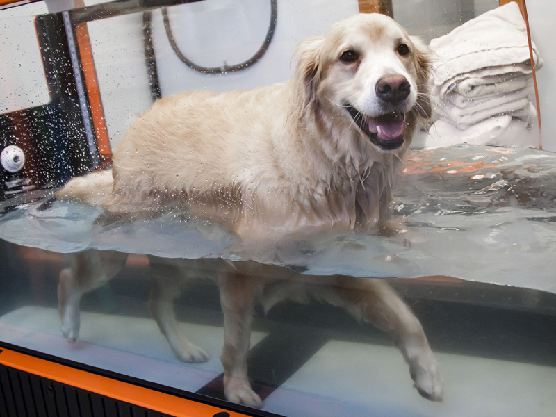 Hydrotherapy