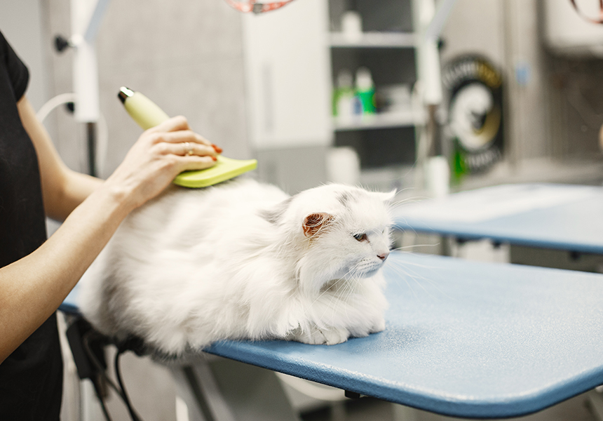 Laser Therapy