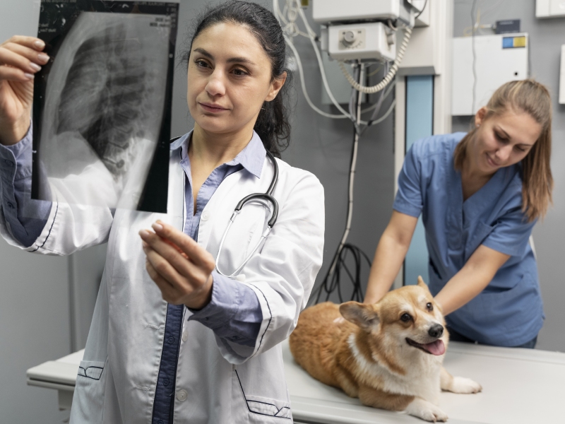 Radiology